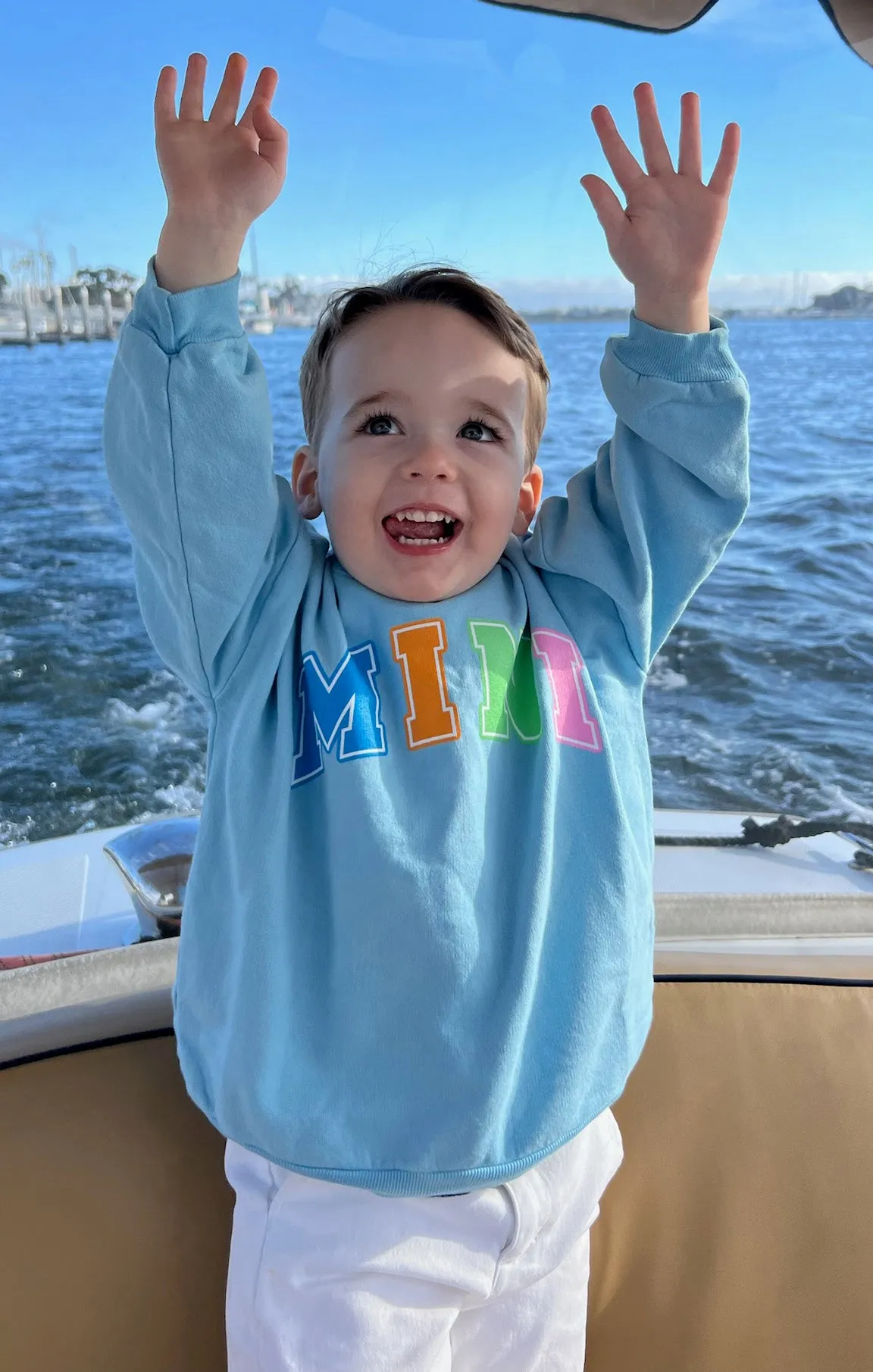 Davis Sweatshirt ~ Blaue Mini Grafik